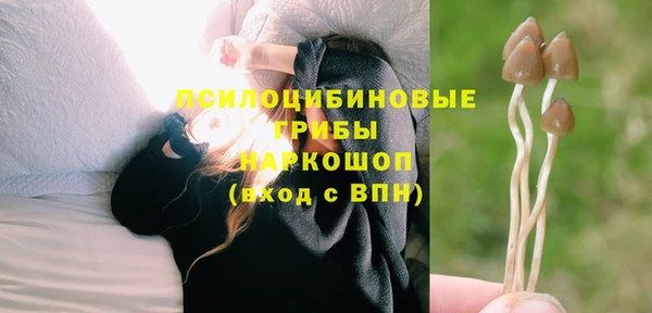 спиды Армянск
