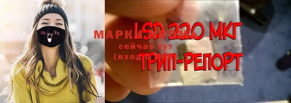 спиды Армянск