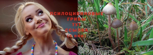 спиды Армянск