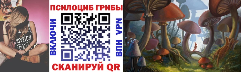 Псилоцибиновые грибы ЛСД  наркошоп  MEGA зеркало  мориарти наркотические препараты  Сокол 